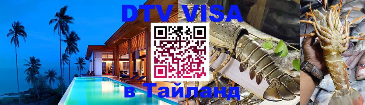 Сколько стоит DTV виза — актуальные цены, оформление даже без документов - Армавир  07.01.2026 